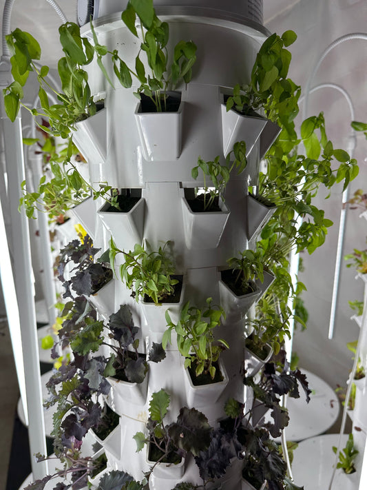 Why Aeroponic Towers?