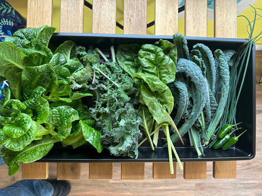 Is it Organic?